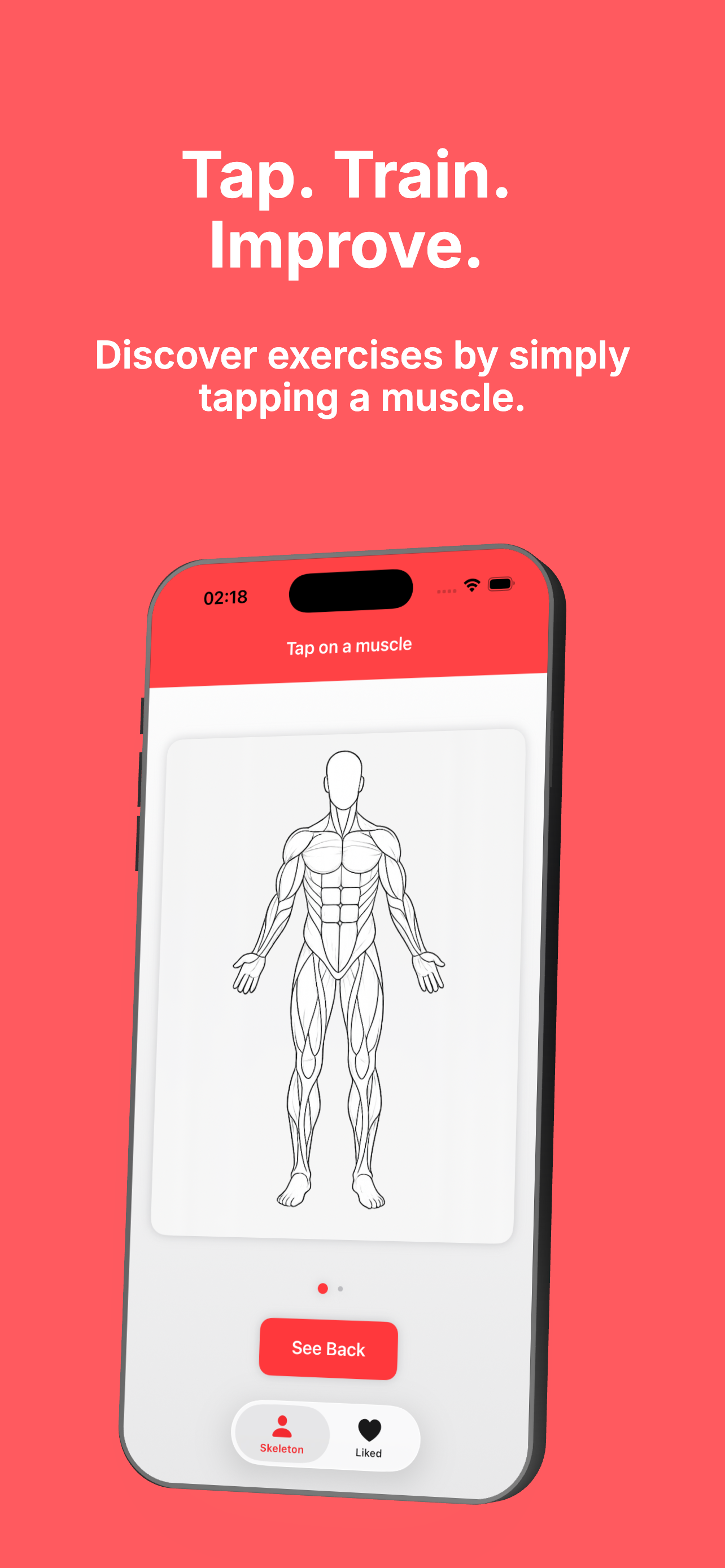 Interactive Muscle Map